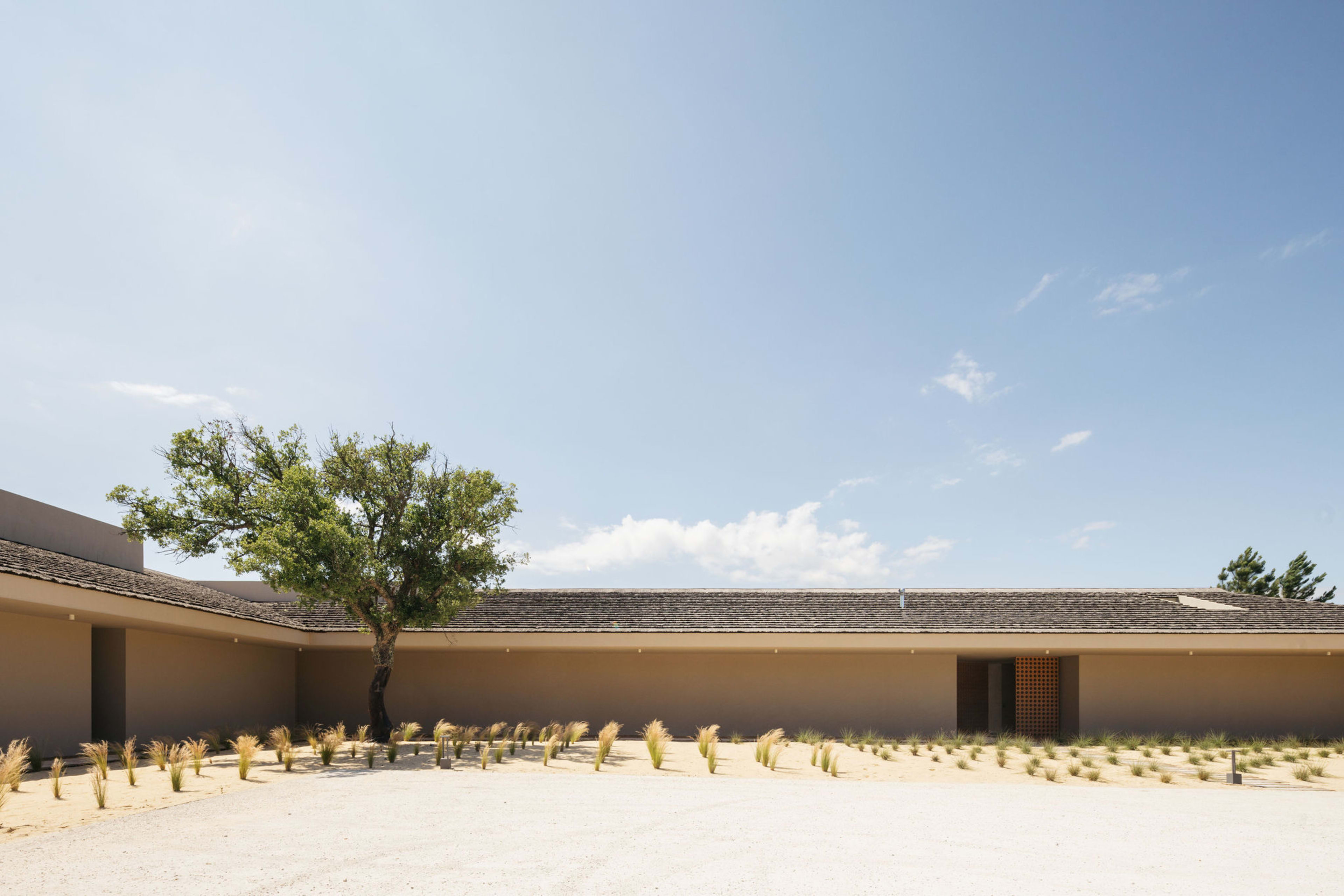 Quiet facade and courtyard tree