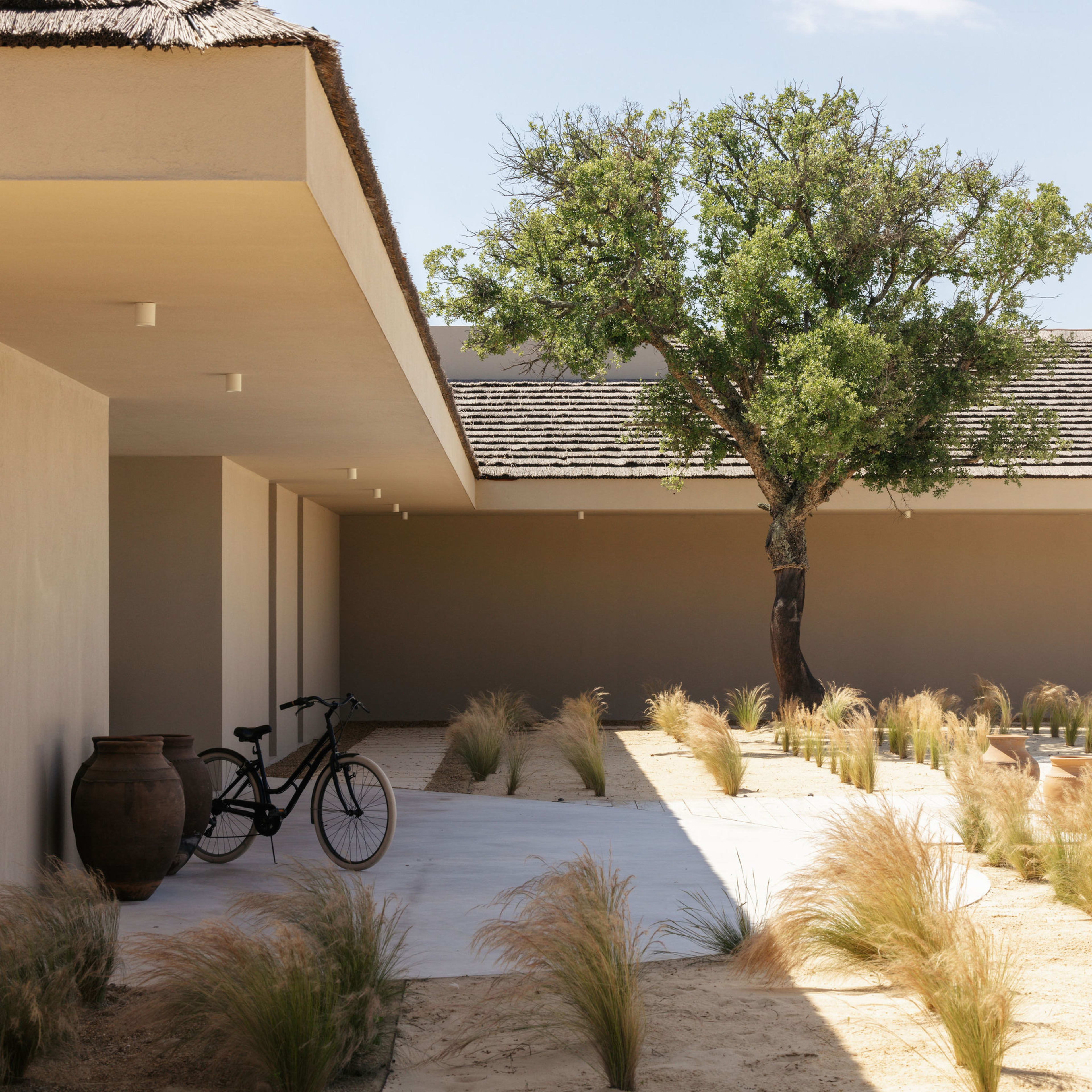 Courtyard tree and bicycle against a quiet facade, Spatia Comporta