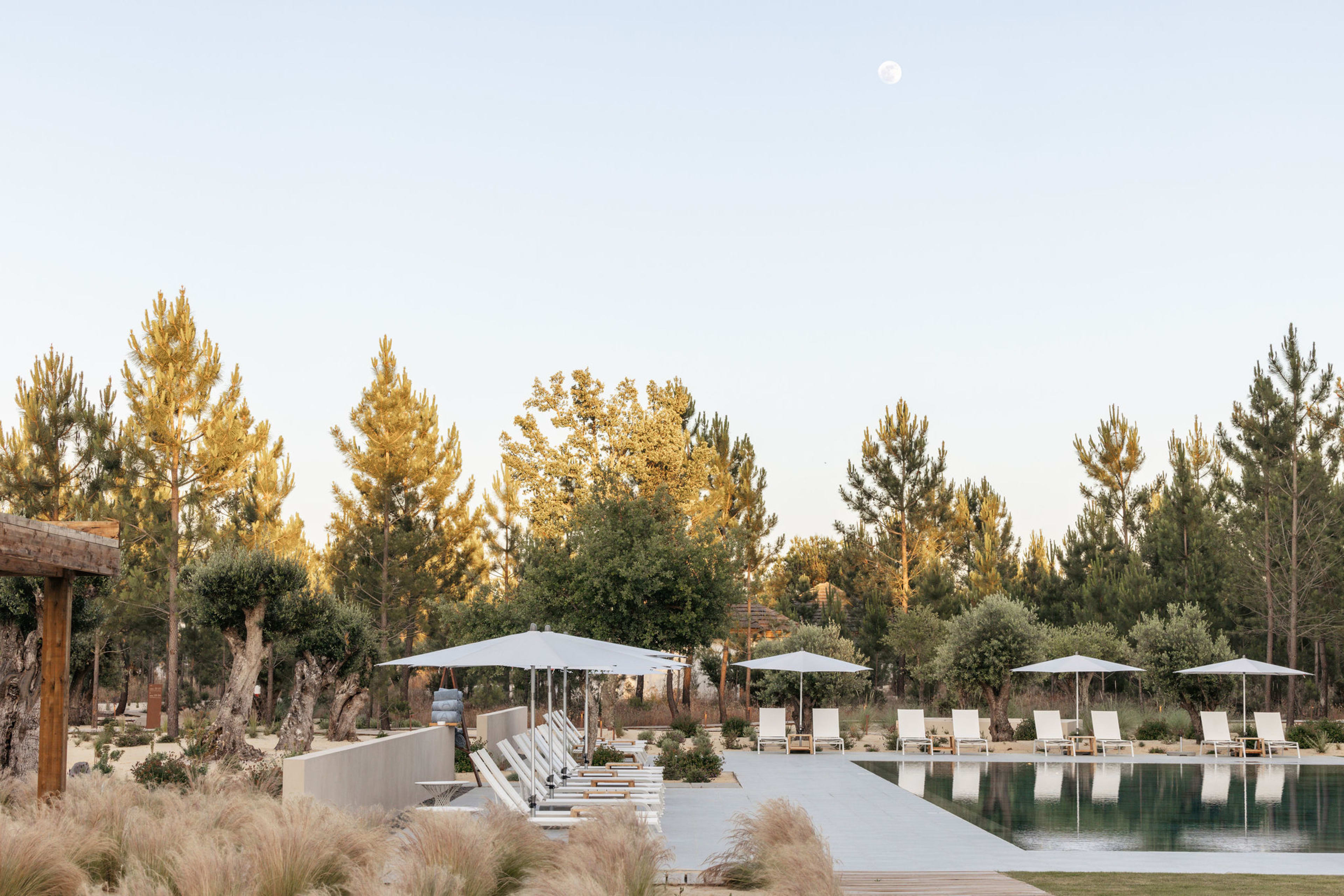 The long pool under white umbrellas