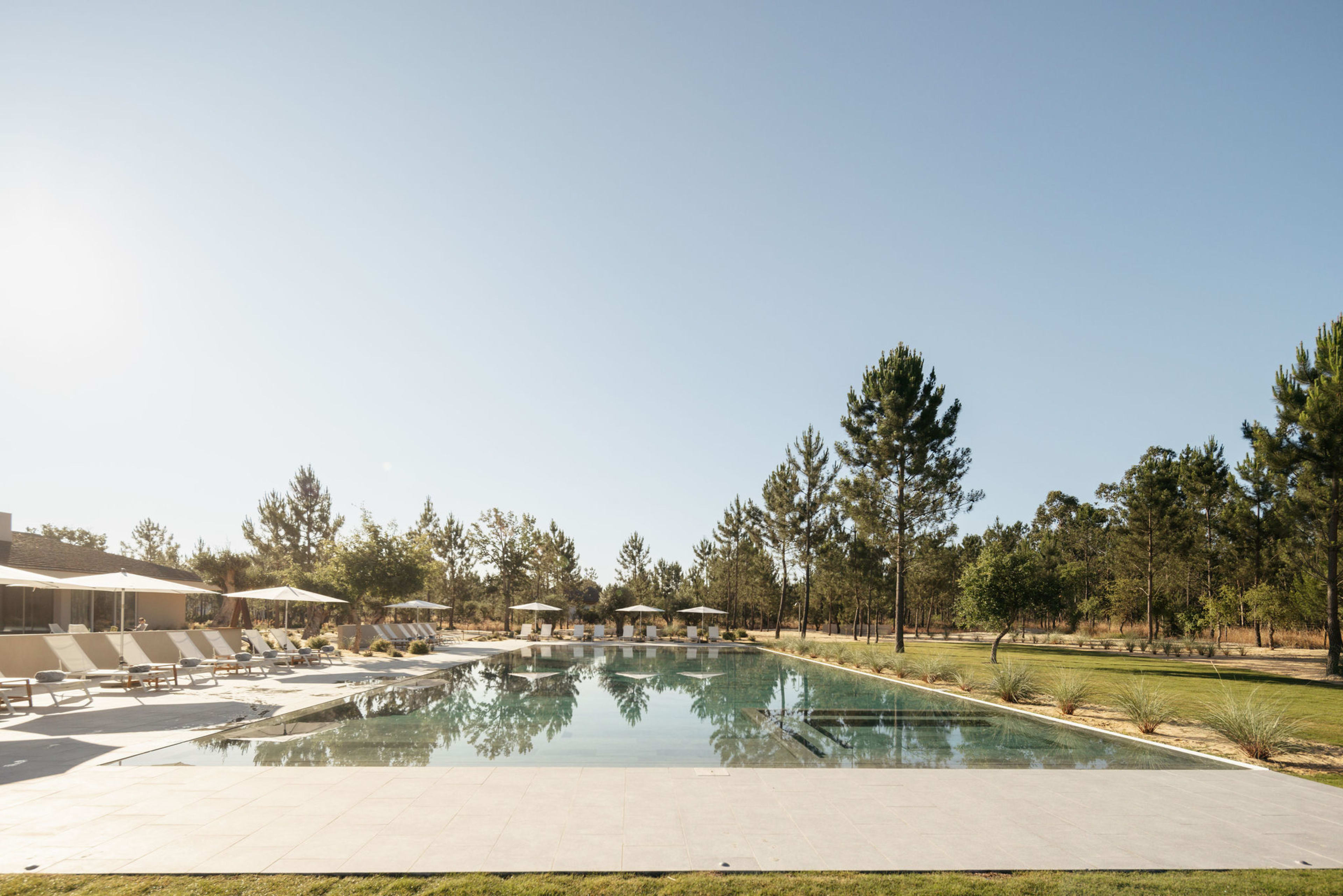 Loungers by the pool among the pines