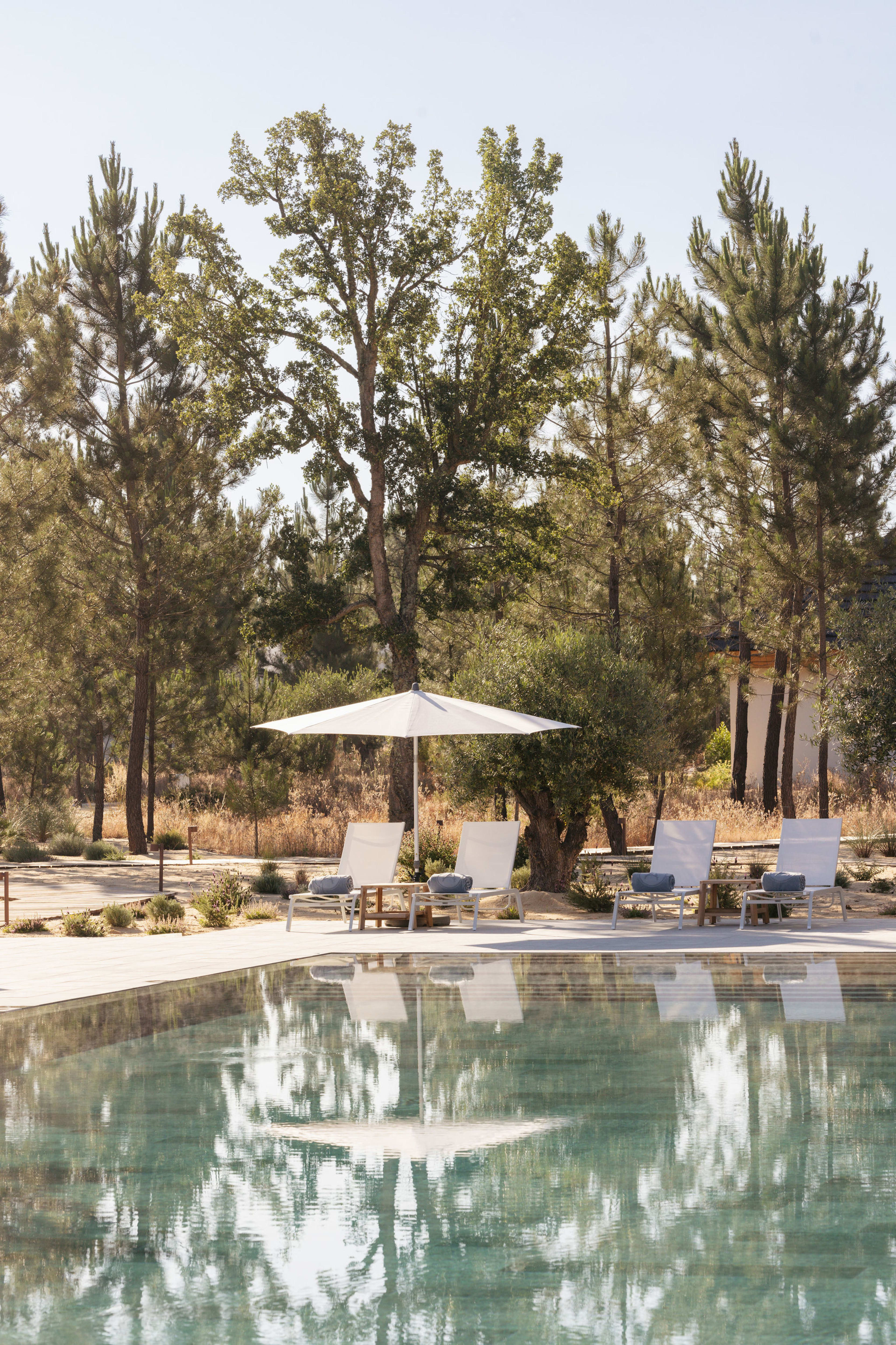 Pool and loungers beneath the umbrella pines, Spatia Comporta