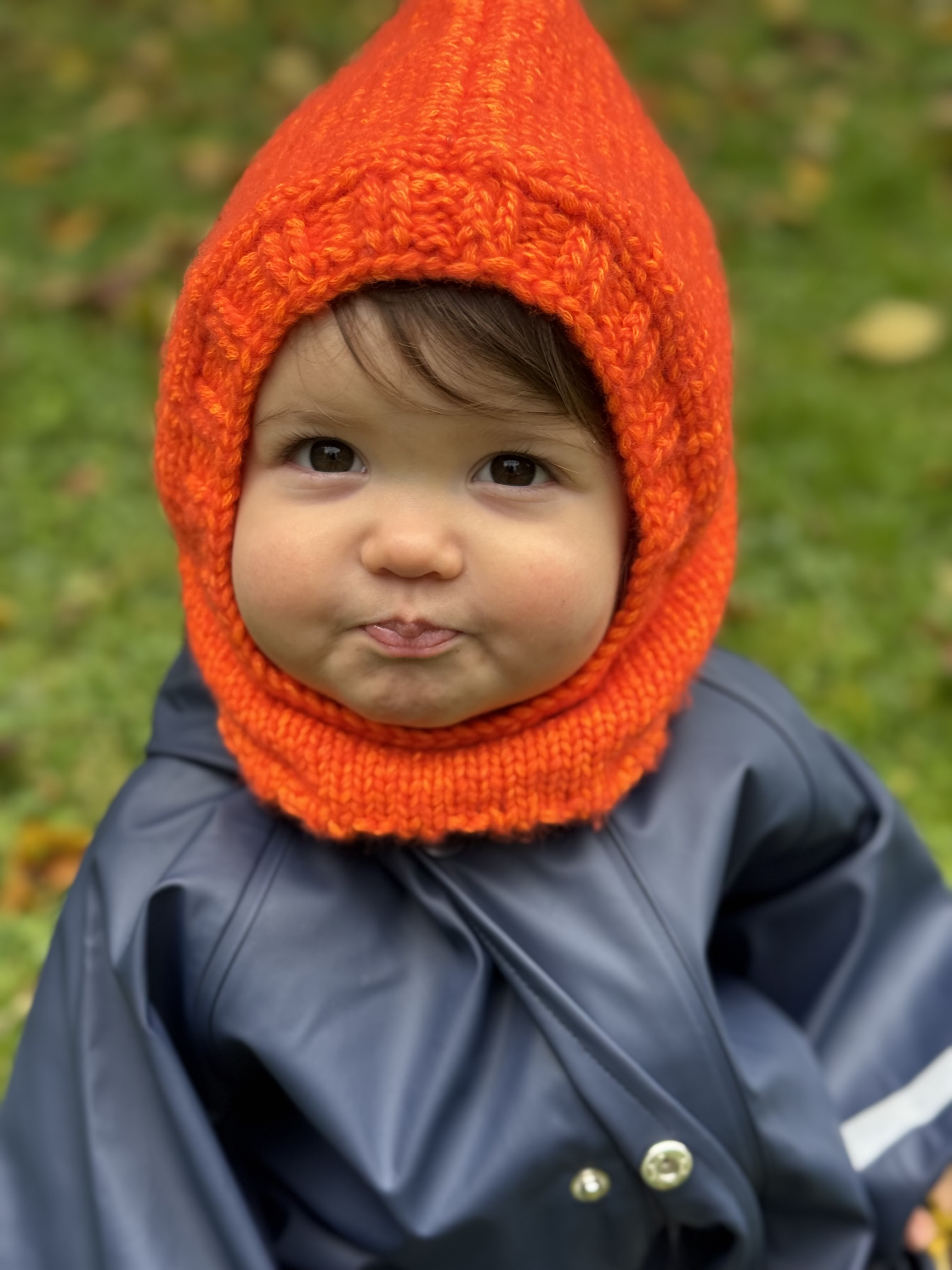 mini Mutz