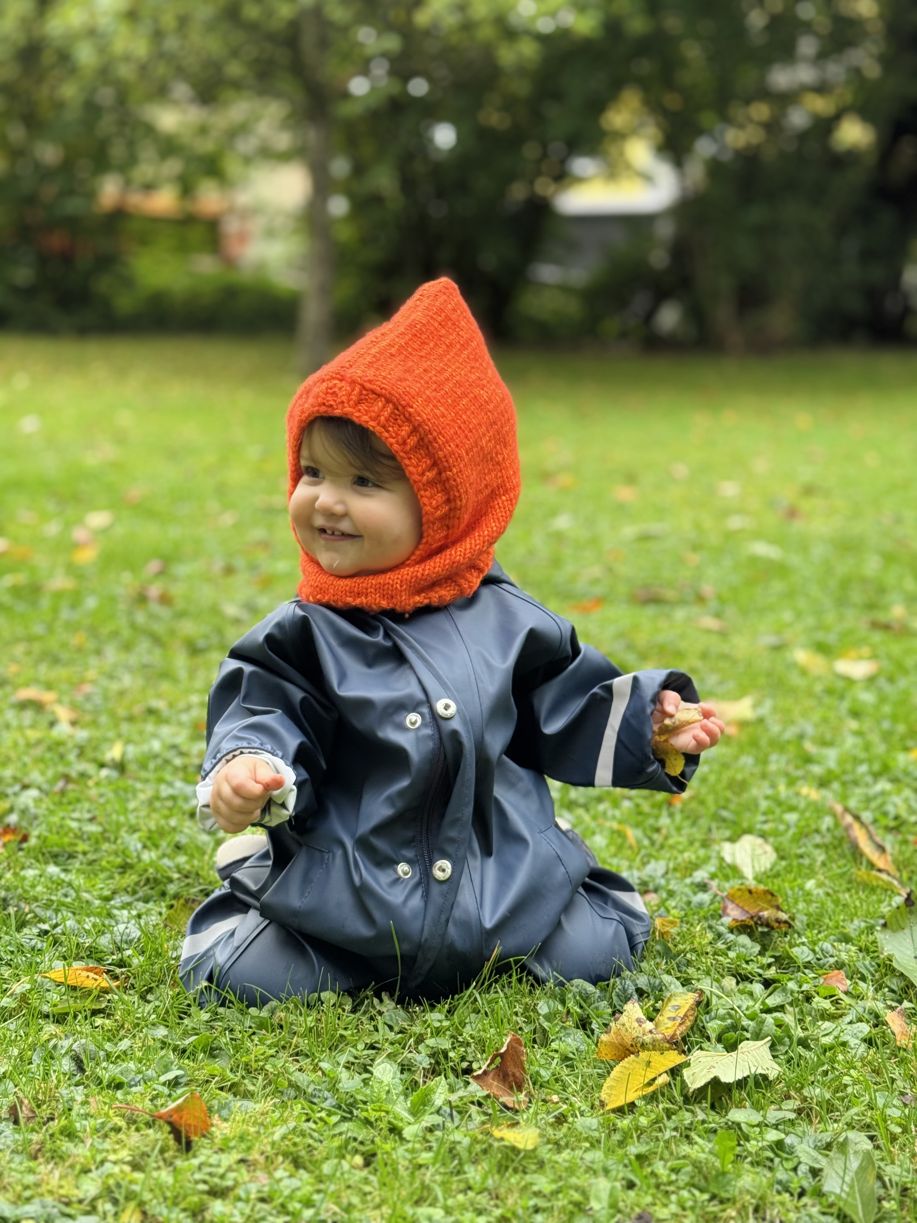 mini Mutz
