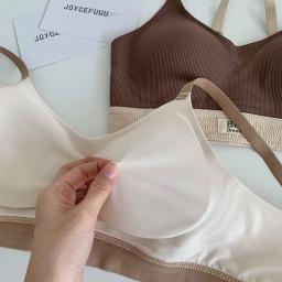 Heavy Duty Sports & Posture Bra - B324 7