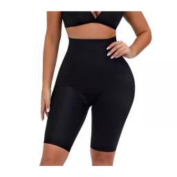 Summer Laser Slimming Full Shaper - C160 10