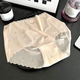 Seamless Butter-Lycra Panty Set - C168 7