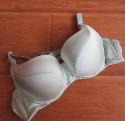 Ultimate Support Plus-Size Bra - B337 2