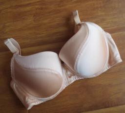 Ultimate Support Plus-Size Bra - B337 3