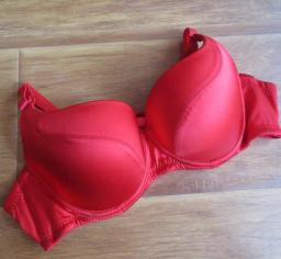 Ultimate Support Plus-Size Bra - B337 5