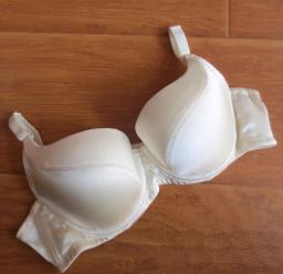 Ultimate Support Plus-Size Bra - B337 6