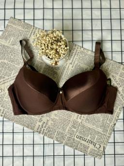 Ultimate Support Plus-Size Bra - B337 11