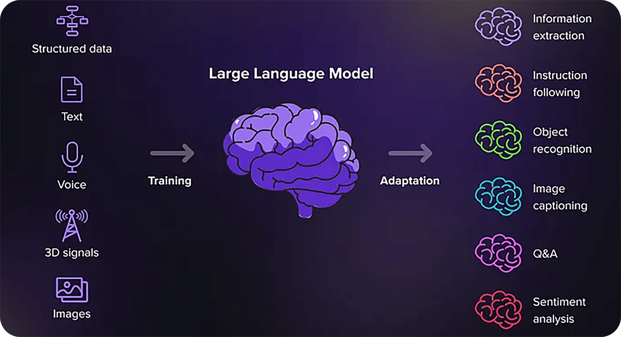 Understanding the Performance of Large Language Models as Document Summarizers