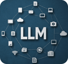 LLM