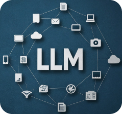 LLM