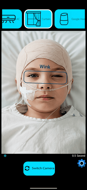 ML Wink