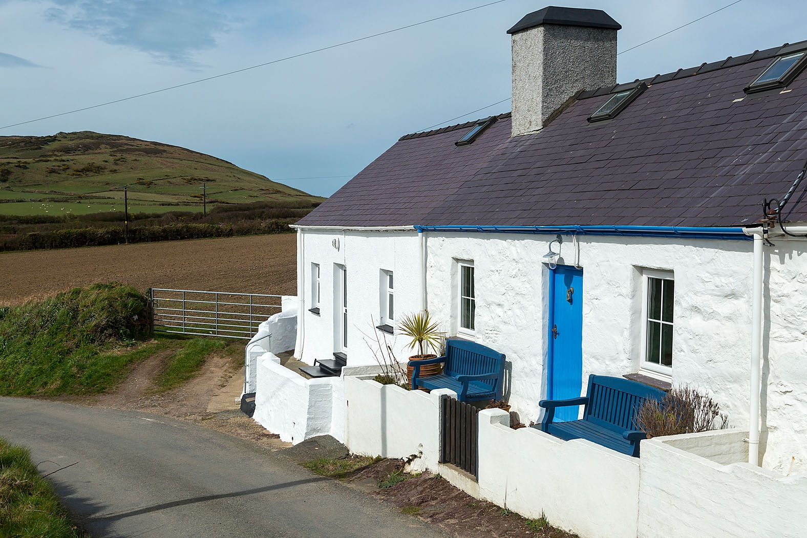 Coastal Path View