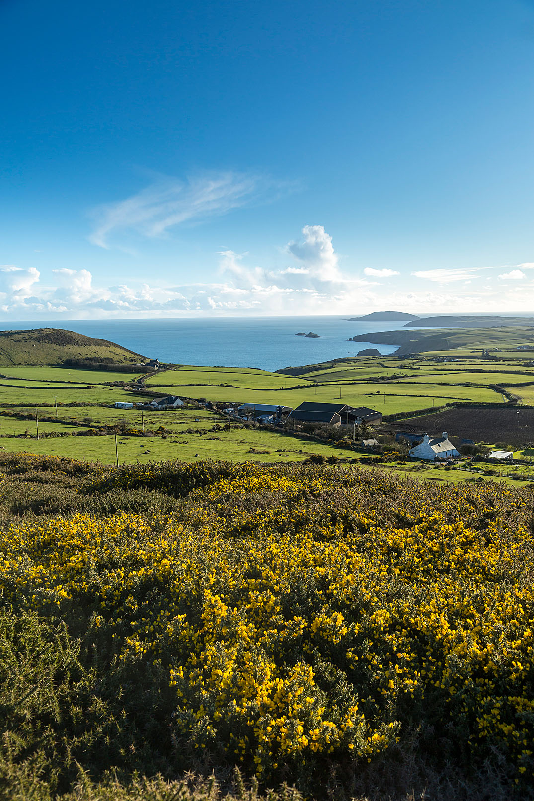 View from cottage 3