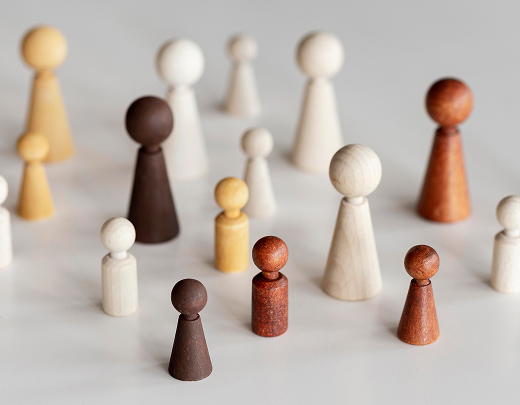 Diversity Strategies