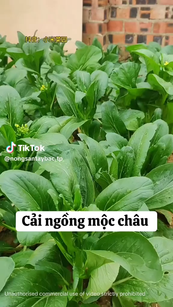 Đơn đặt hàng mới - Kết nối cung cầu thành công