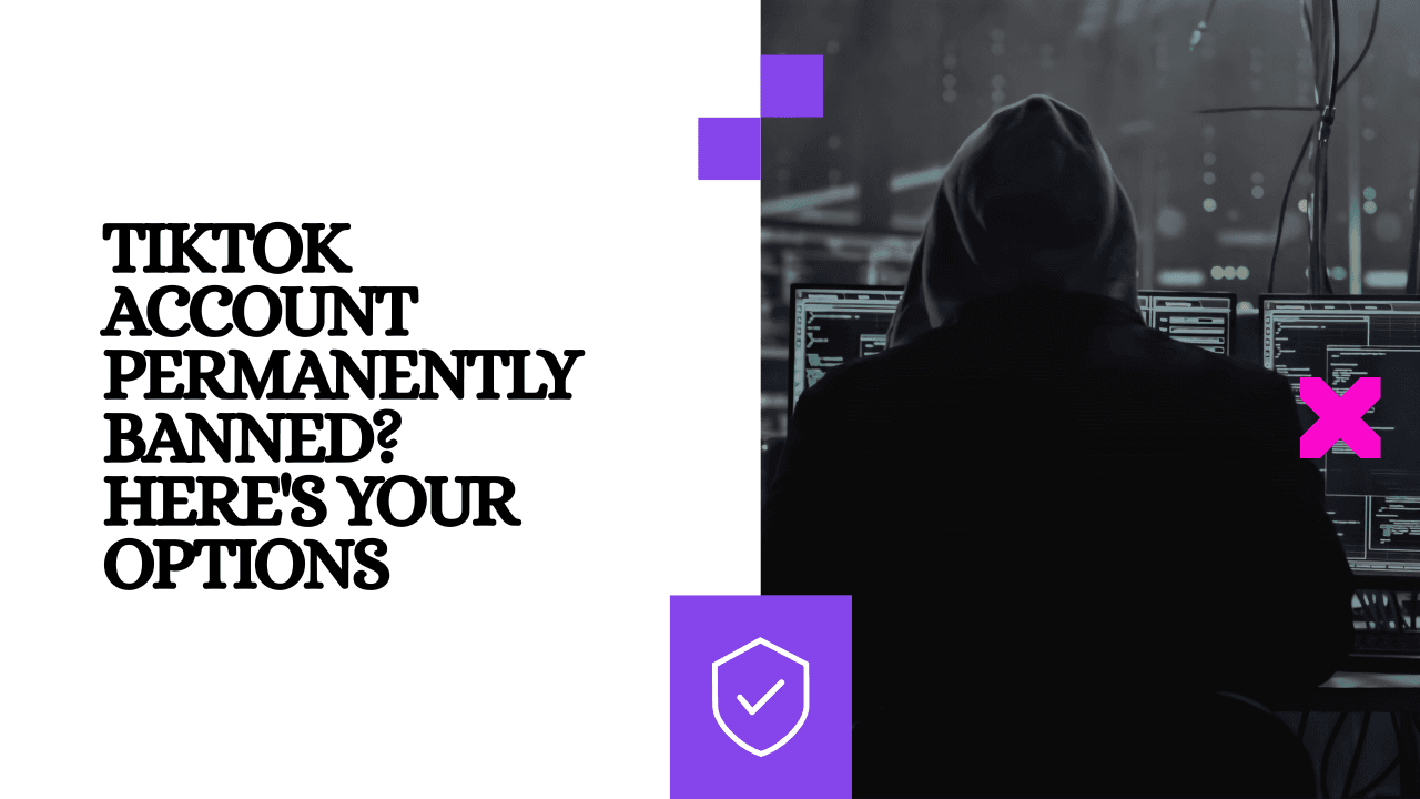 TikTok Account Permanently Banned? Here's Your Options