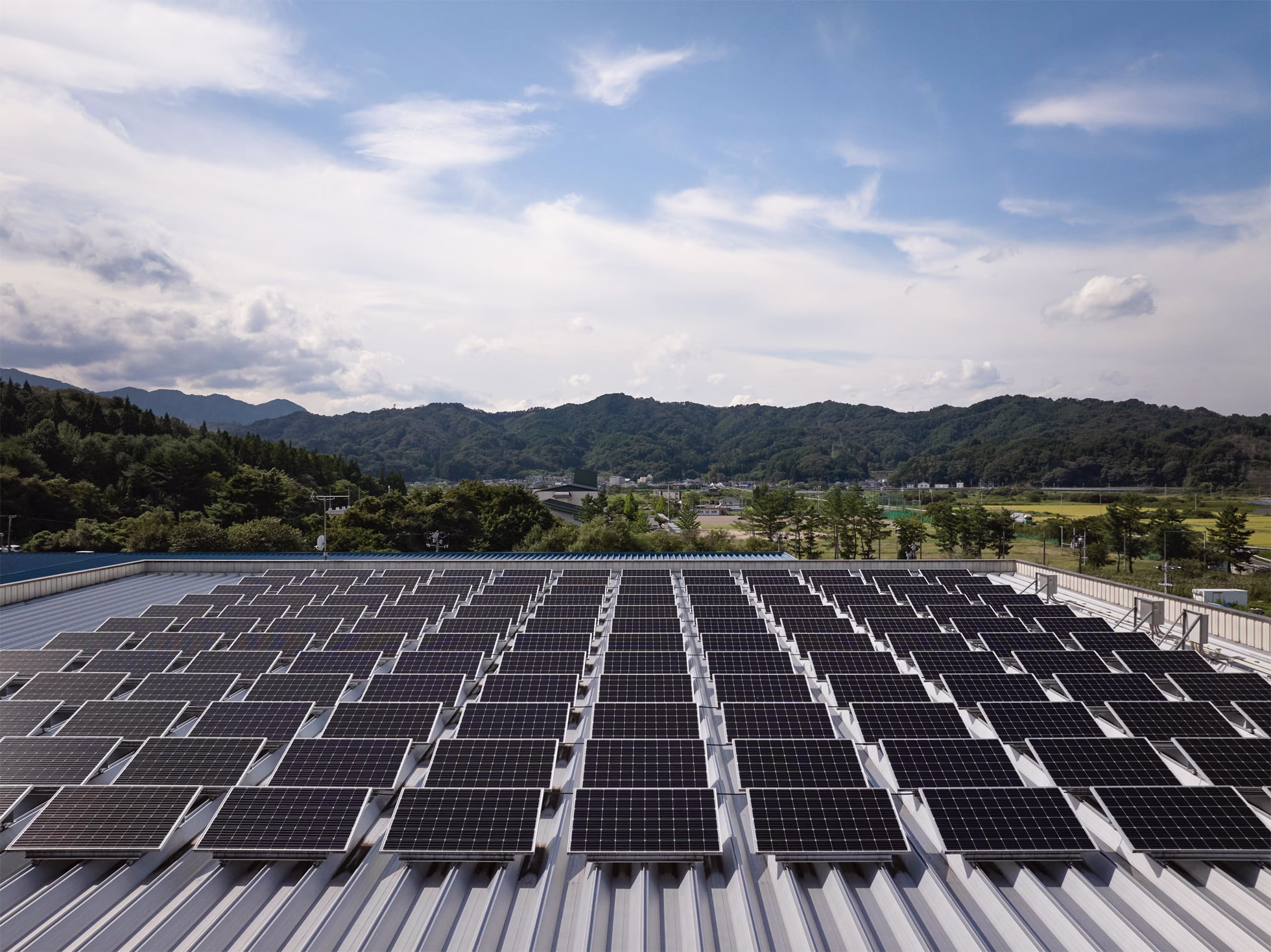 Apple's Green Leap: 60% Emissions Cut Achieved