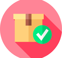 Projects Successfully Delivered