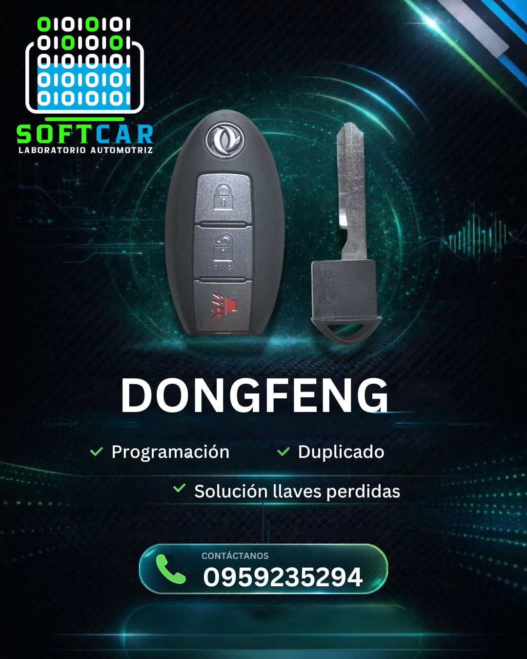 ORIGINAL DONGFENG - Vista 1