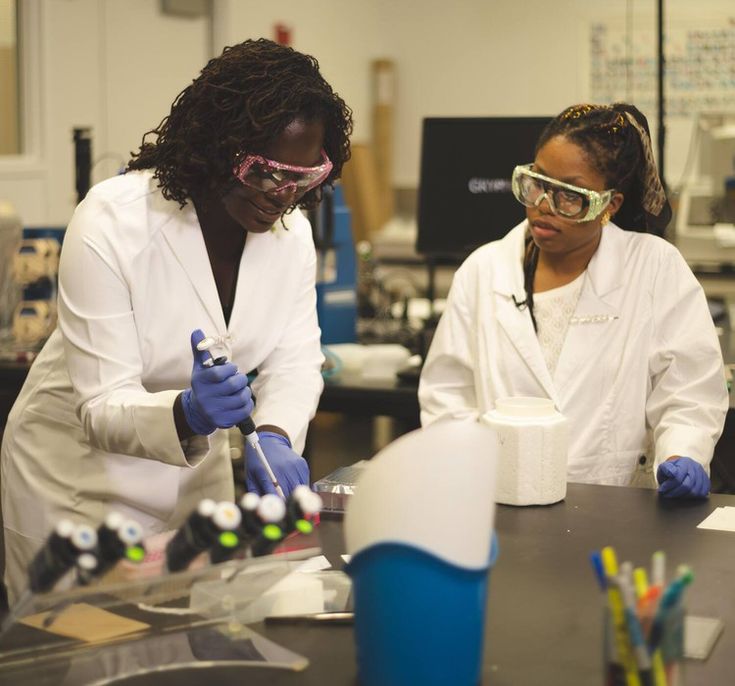 Research team collaboration