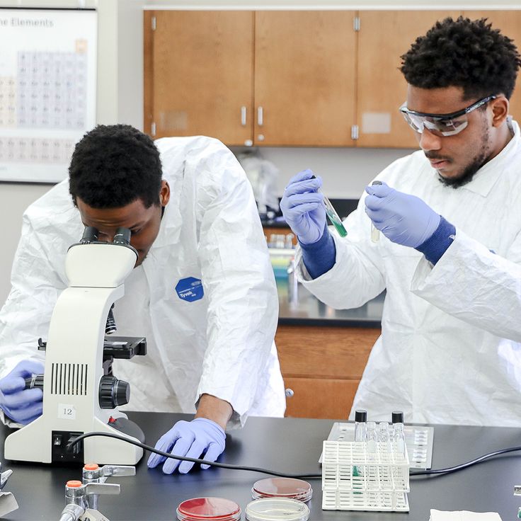 Researcher analyzing data