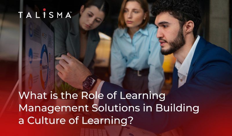 What is the Role of Top Learning Management Solutions in Building a Culture of Learning