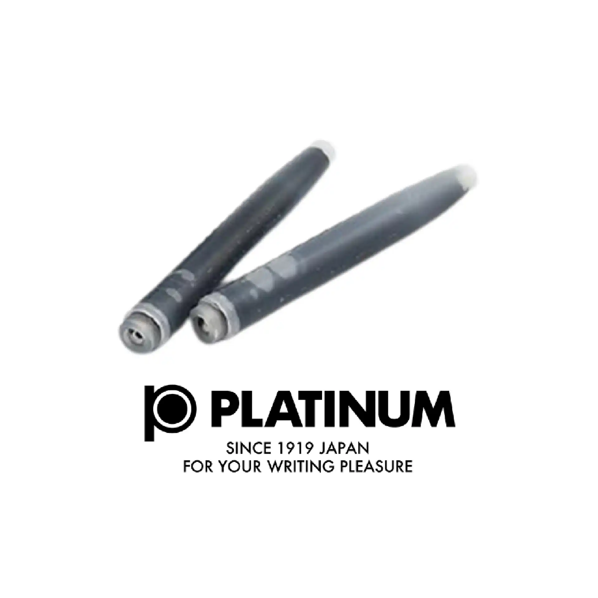 (RECARGA) Cartuchos de Tinta Platinum NEGRO