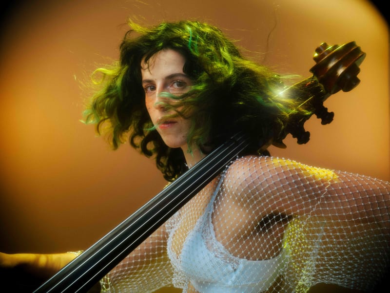 Knobil Trio, artiste Jazz / Chanson