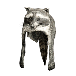 Raccoon Cloth Hat