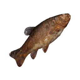 Grilled Fish