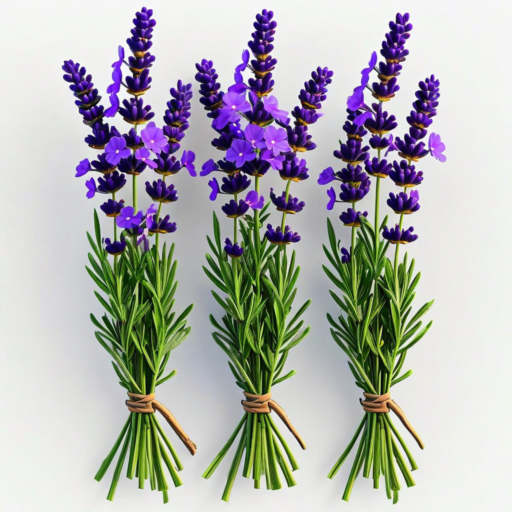 Lavender