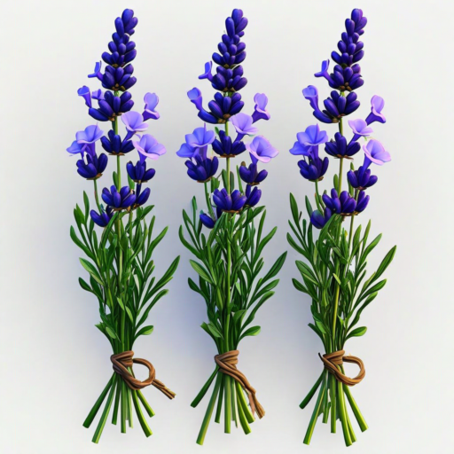 Blue Lavender