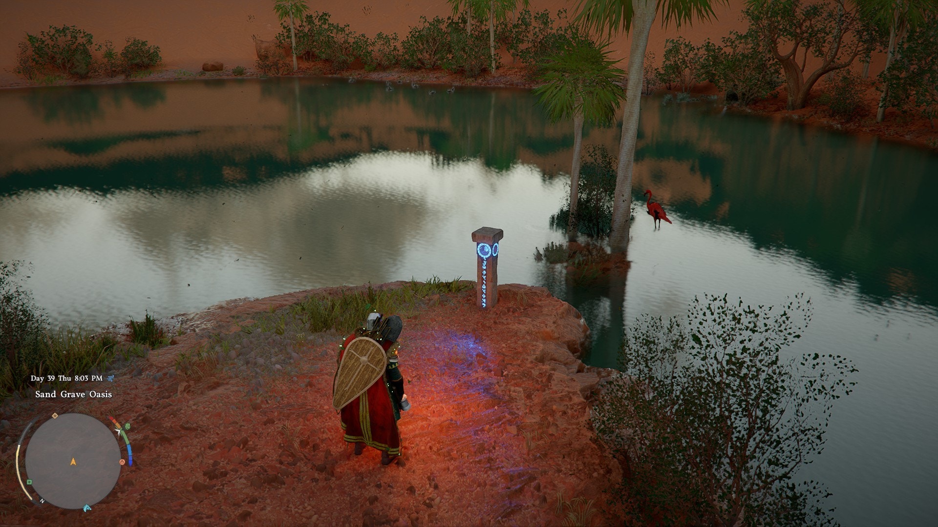 The Desert Oasis