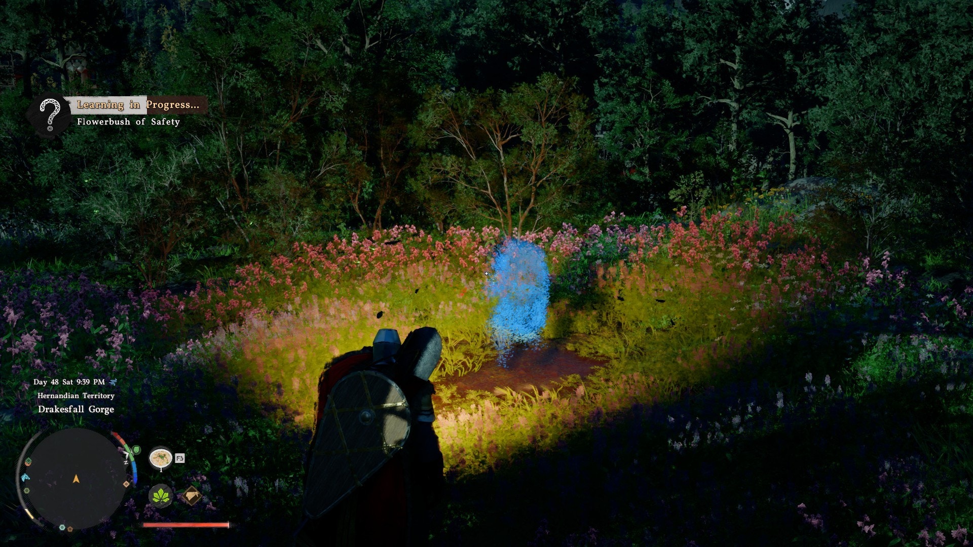 Flowerbush of Safety