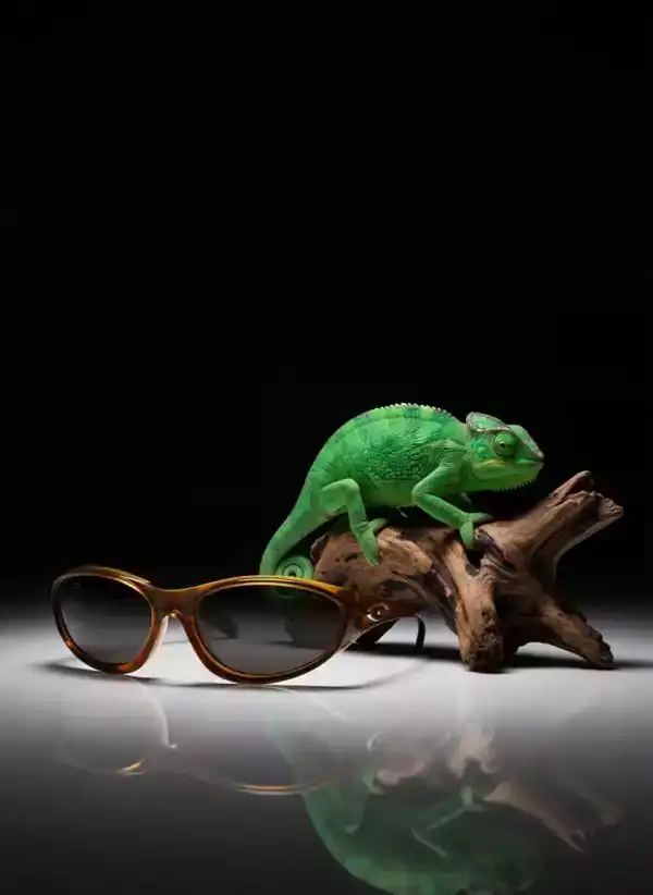 Chameleon