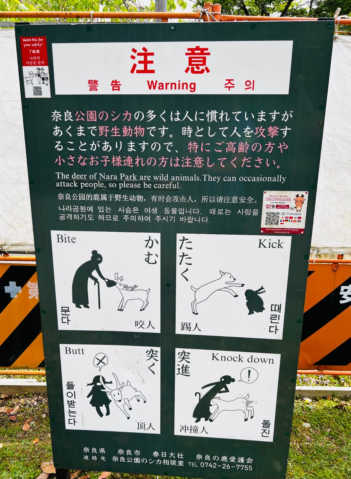 A sign in Nara Park warns visitors about the potential dangers of interacting with wild deer, with illustrations depicting biting, kicking, butting, and knocking down. This is an important safety notice for travelers planning a visit to Nara as part of their Honshu Japan itinerary.