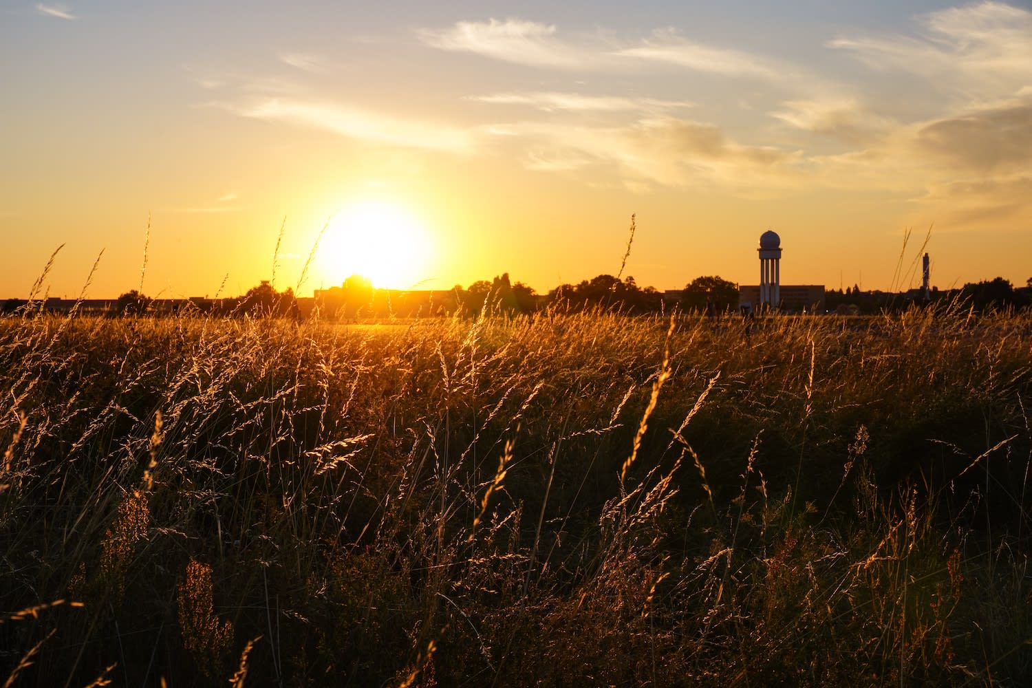 Sunset over Tempelhofer Feld, with the sun casting golden hues over the tall grass and distant cityscape, emphasizing the location as an iconic alternative leisure spot in Berlin.