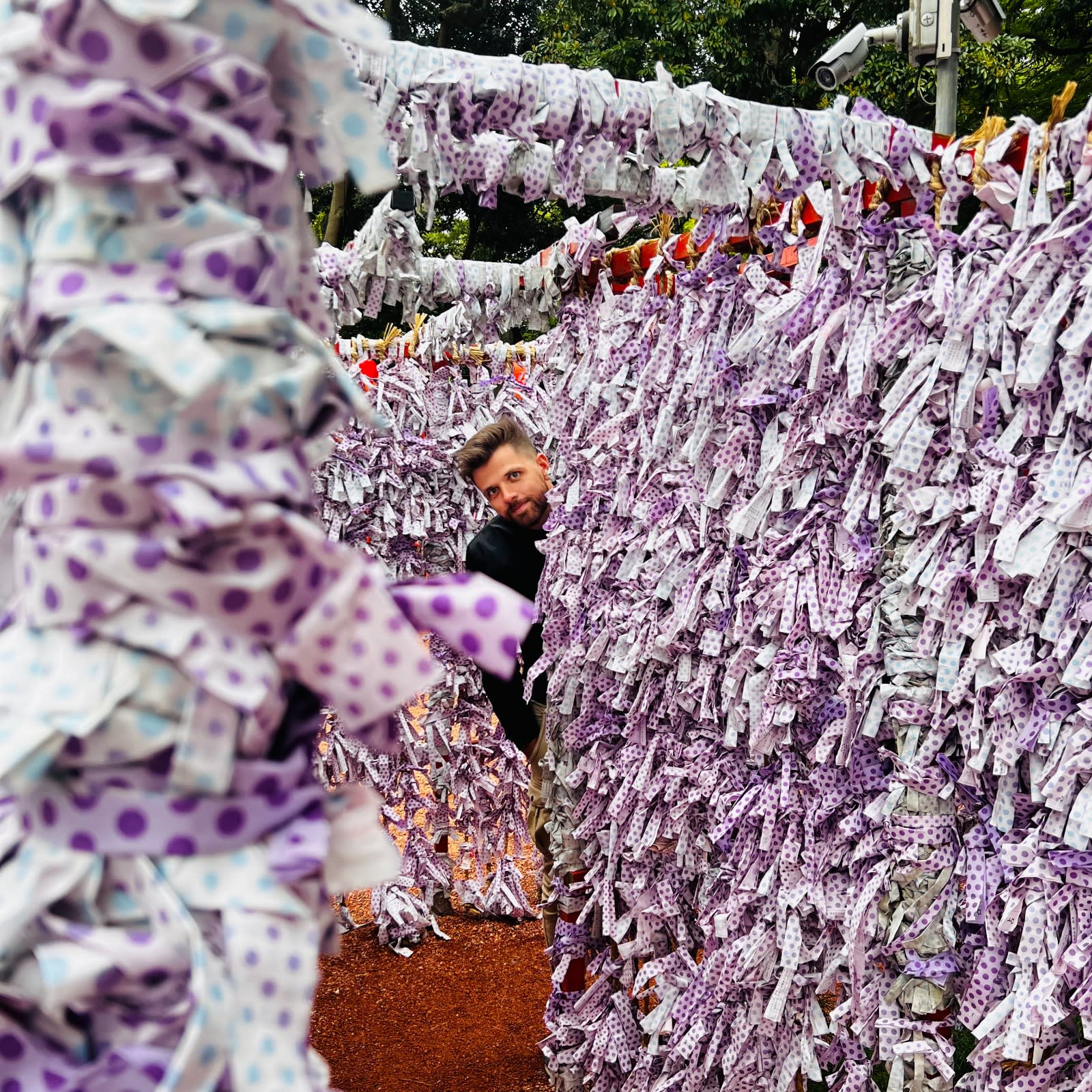 A man peeks through a corridor of colorful tied ribbons at a shrine in Kanazawa, Japan. This shrine, often visited during a Honshu Japan itinerary, is known for its ritual of tying wishes or fortunes.