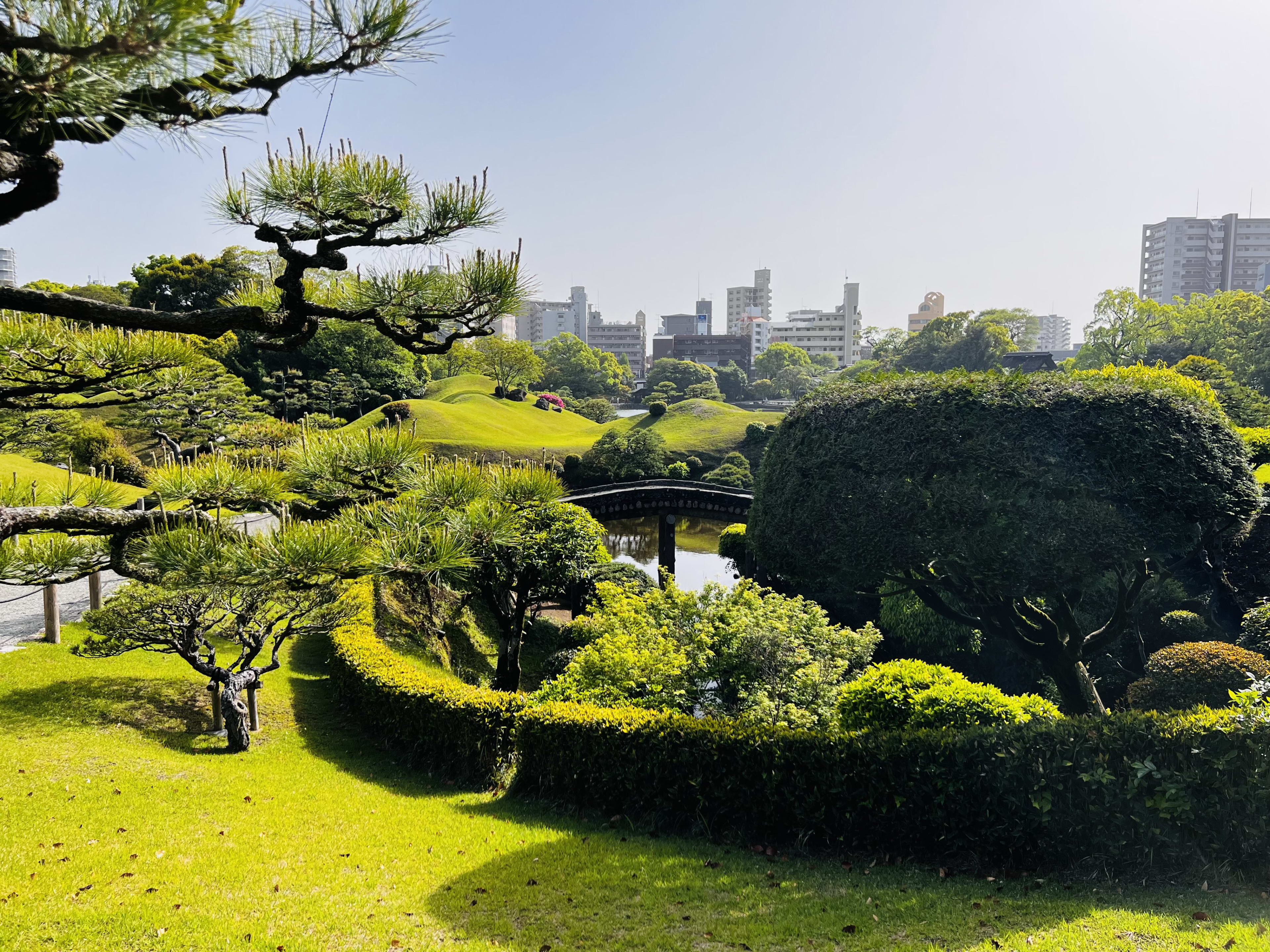 Nestled within a lush green garden with manicured shrubs and trees, a quaint bridge arches over a serene pond. Beyond, the city skyline soars under the clear blue sky—a picturesque spot featured in any travel guide to exploring Kyushu without a car.