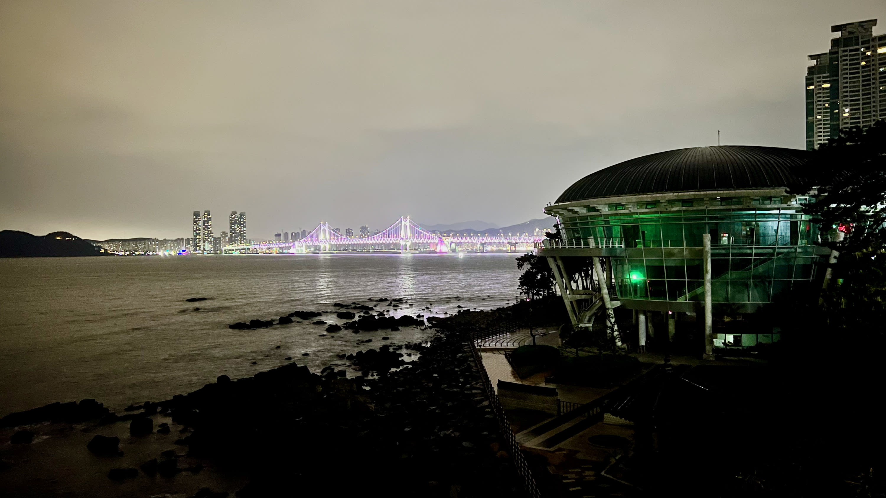 A nighttime coastal scene in the vibrant city of Busan features a modern, glass-domed building on the right. A brightly lit suspension bridge spans the background, adorned with purple and pink lights. City skyscrapers are visible beneath a cloudy sky, as rocky shorelines and beaches complete the foreground.