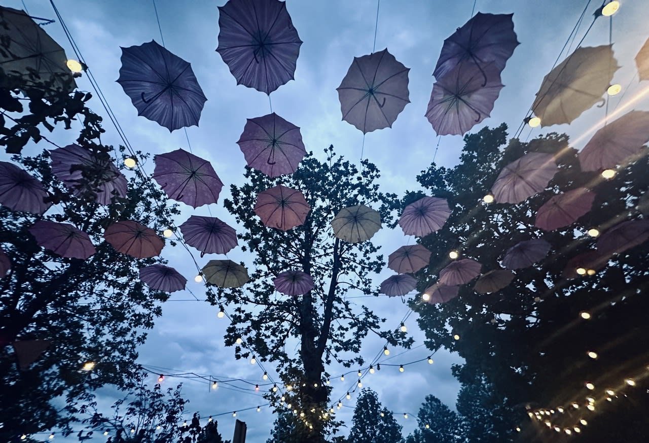 A vibrant Balkan adventure unfolds with umbrellas hanging above against strings of lights, silhouetted trees, and a cloudy sky. This enchanting scene is a perfect highlight for any Montenegro itinerary, capturing the unique charm and atmosphere of this picturesque region.