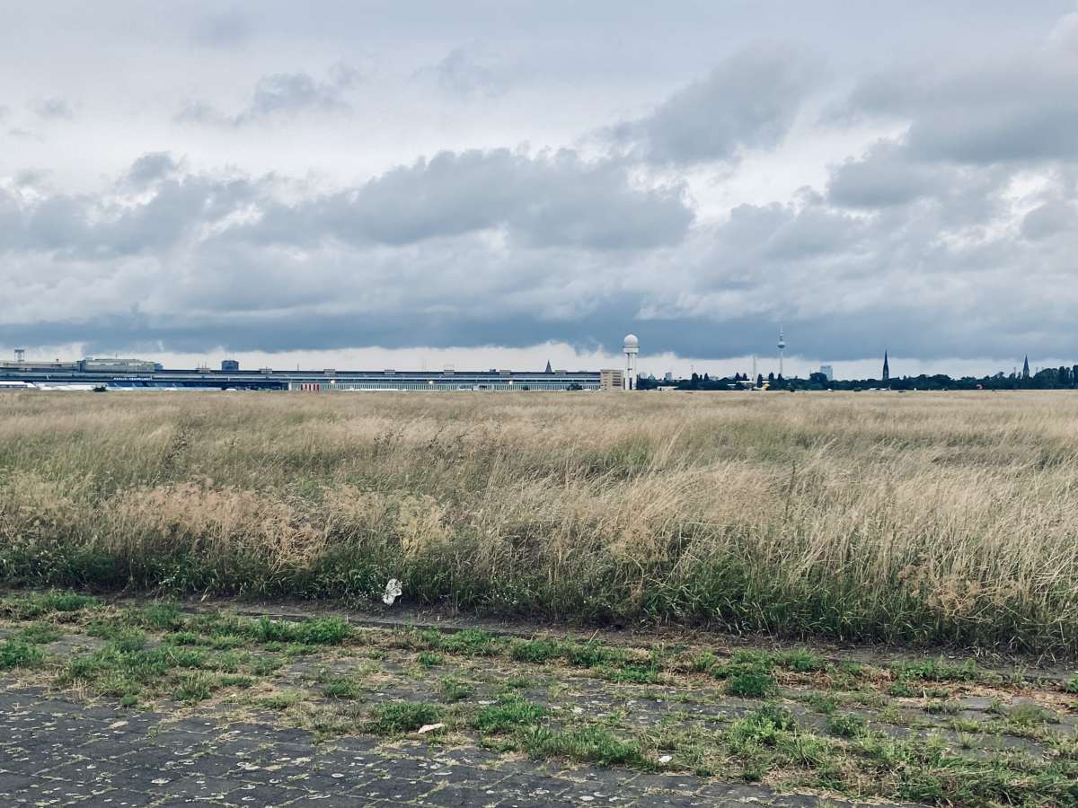 Overcast sky over Tempelhofer Feld, with tall dry grass in the foreground and Berlin city skyline in the distance, featuring the iconic TV tower faintly visible through the haze.