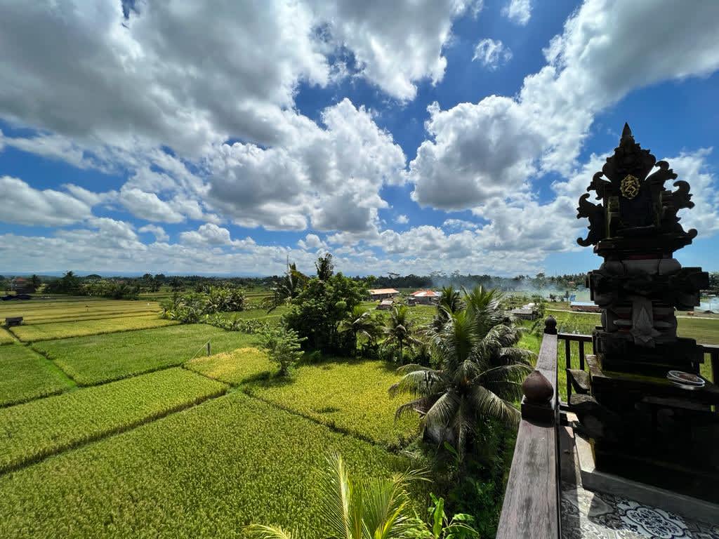 Panoramic view of sunny rice fields in Ubud, Bali, framed by a traditional Balinese shrine, reflecting the serene work-life balance sought by digital nomads in Indonesia.