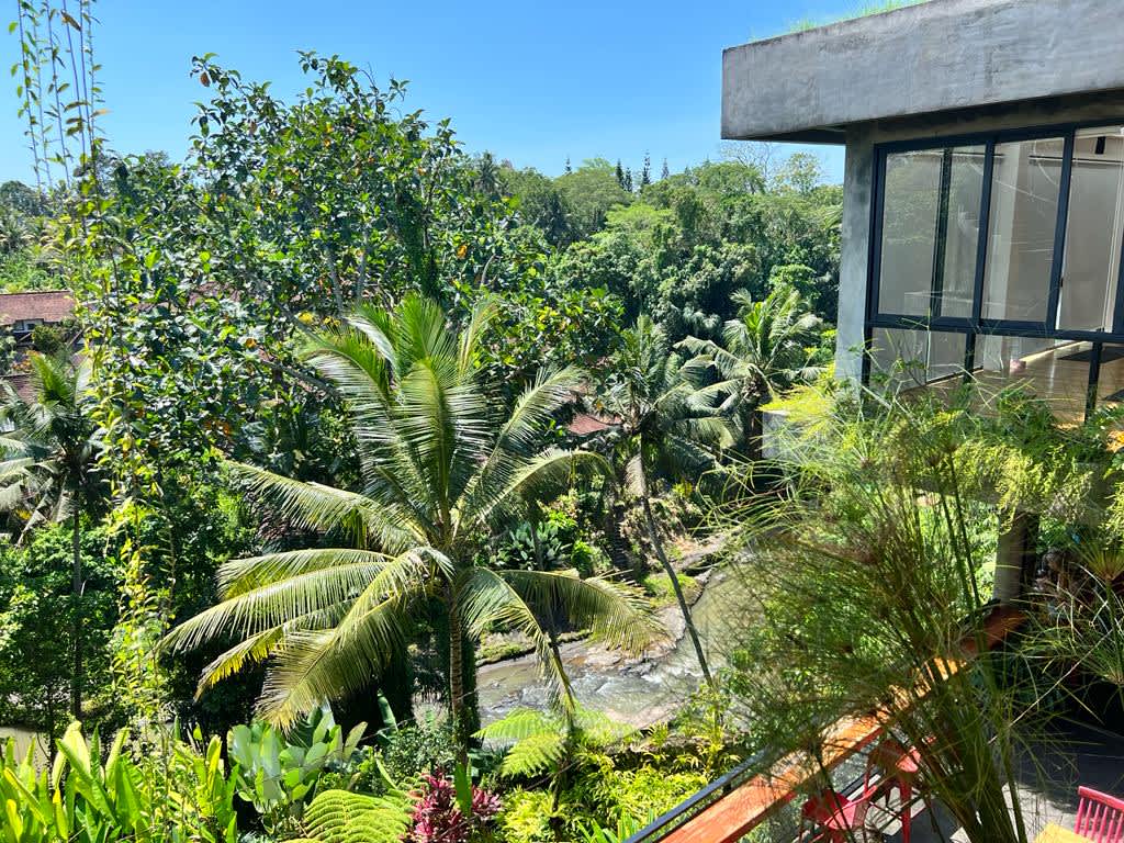 View from the Ubud Yoga Centre over dense tropical greenery in Bali, popular among digital nomads for wellness and relaxation in the heart of Indonesia's natural landscapes.
