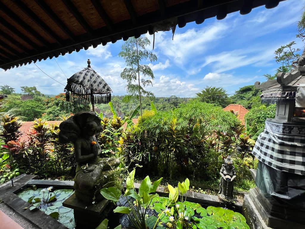 Verdant tropical foliage in Ubud, Bali, illustrating the idyllic surroundings that make Indonesia a popular destination for digital nomads worldwide.