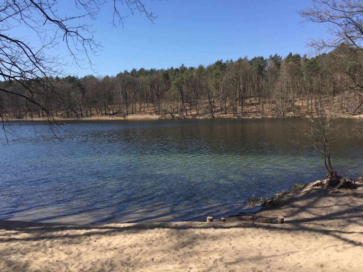 Tranquil view of Krumme Lanke in Berlin, showing a clear blue lake surrounded by dense forests, popular among locals for its peaceful, alternative recreational space.